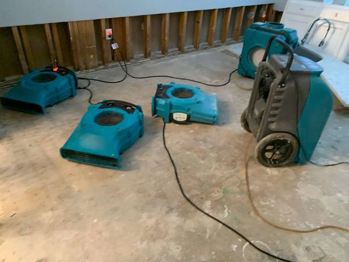 Mold Remediation & Removal in Dakota Ridge, CO